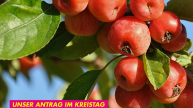 Kachel mit Obstbaum und Text &quot;Antrag Obstbäume bewahren, Klima schützen&quot;